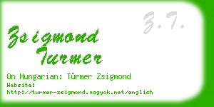 zsigmond turmer business card